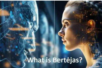 Bertėjas: Dive into World of Language Translation