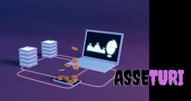 Asseturi: Future of Digital Asset Management