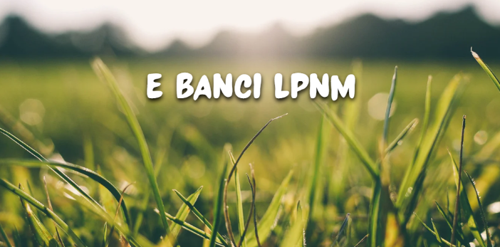 e banci lpnm