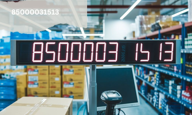 85000031513