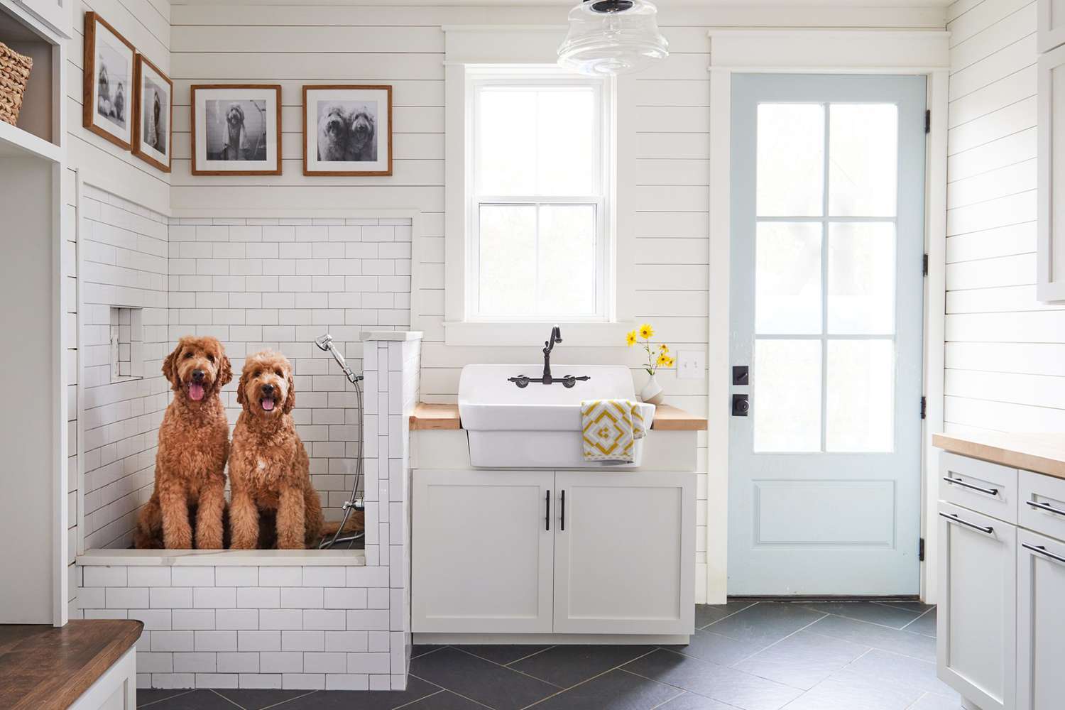 How to Wash a Dog with a Dog Bathing Station