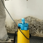 mold removal