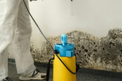 mold removal